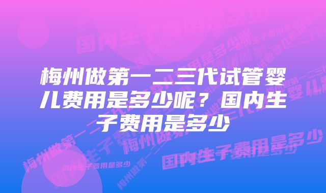 梅州做第一二三代试管婴儿费用是多少呢？国内生子费用是多少