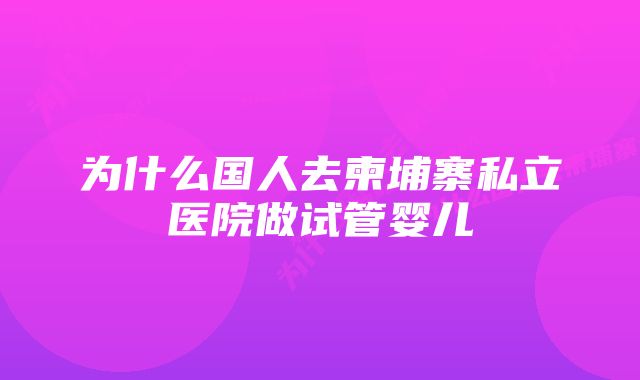 为什么国人去柬埔寨私立医院做试管婴儿