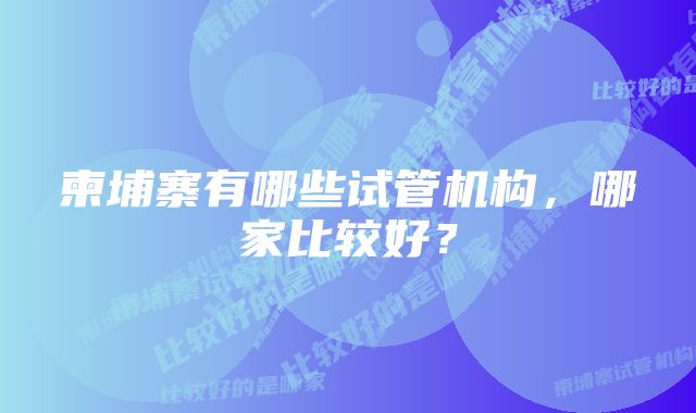 柬埔寨有哪些试管机构，哪家比较好？