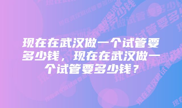 现在在武汉做一个试管要多少钱，现在在武汉做一个试管要多少钱？