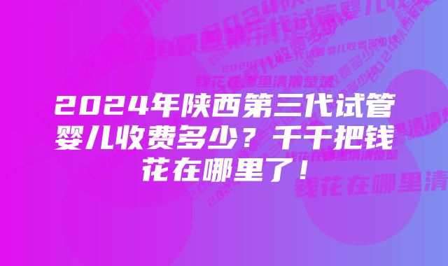 2024年陕西第三代试管婴儿收费多少？千千把钱花在哪里了！