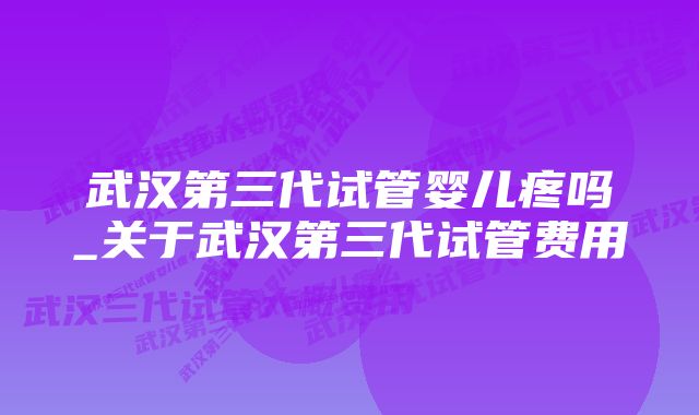 武汉第三代试管婴儿疼吗_关于武汉第三代试管费用