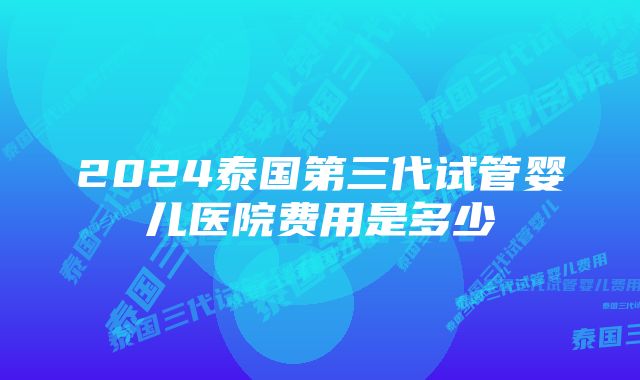 2024泰国第三代试管婴儿医院费用是多少