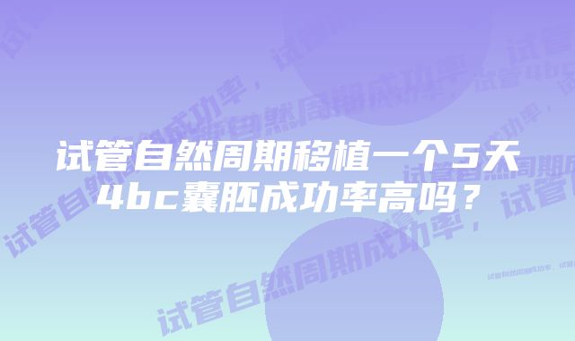 试管自然周期移植一个5天4bc囊胚成功率高吗？