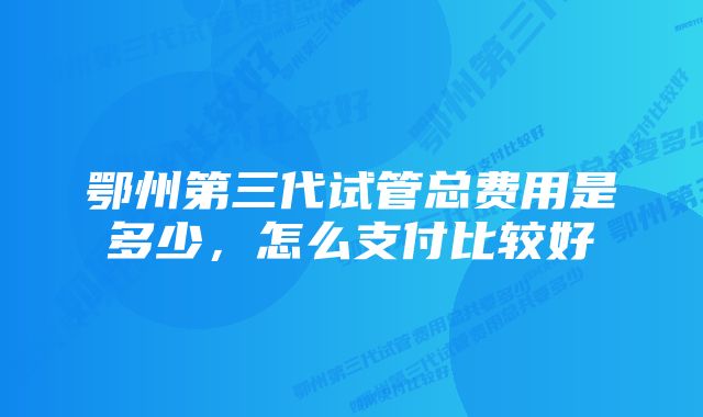 鄂州第三代试管总费用是多少，怎么支付比较好