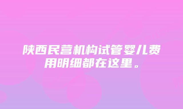 陕西民营机构试管婴儿费用明细都在这里。