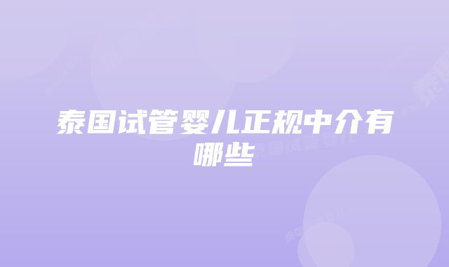 泰国试管婴儿正规中介有哪些