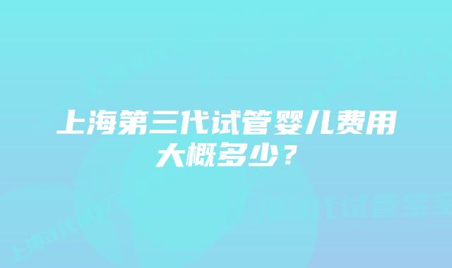 上海第三代试管婴儿费用大概多少？