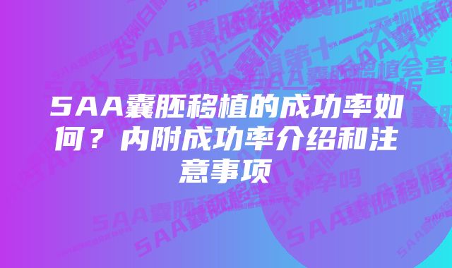 5AA囊胚移植的成功率如何？内附成功率介绍和注意事项