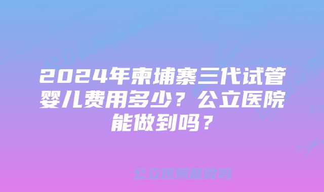 2024年柬埔寨三代试管婴儿费用多少？公立医院能做到吗？