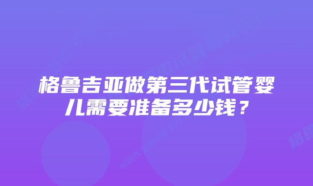 格鲁吉亚做第三代试管婴儿需要准备多少钱？