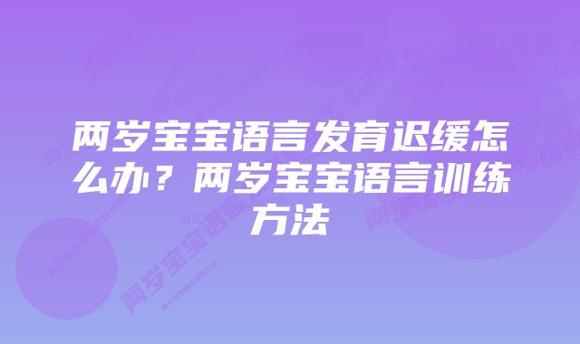 两岁宝宝语言发育迟缓怎么办？两岁宝宝语言训练方法