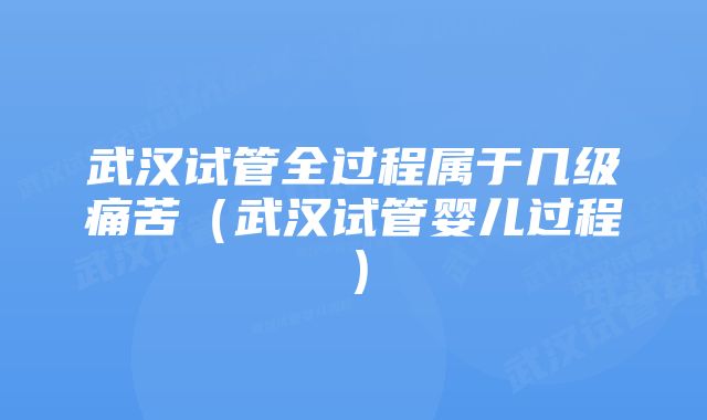 武汉试管全过程属于几级痛苦（武汉试管婴儿过程）