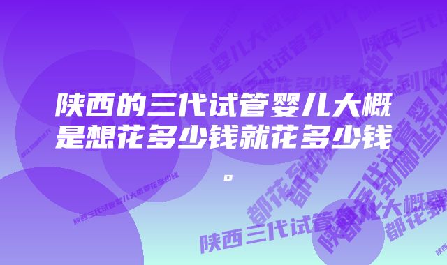 陕西的三代试管婴儿大概是想花多少钱就花多少钱。