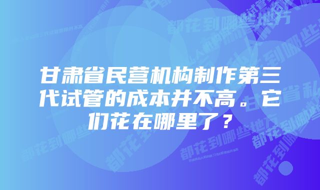 甘肃省民营机构制作第三代试管的成本并不高。它们花在哪里了？