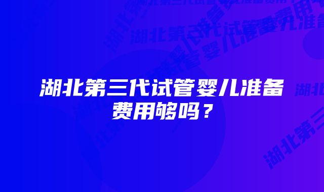 湖北第三代试管婴儿准备费用够吗？