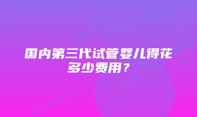 国内第三代试管婴儿得花多少费用？