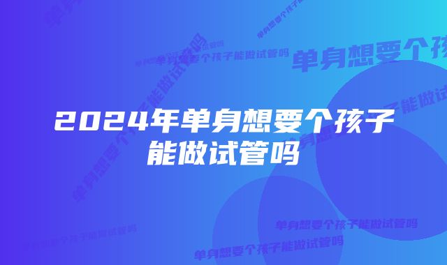 2024年单身想要个孩子能做试管吗