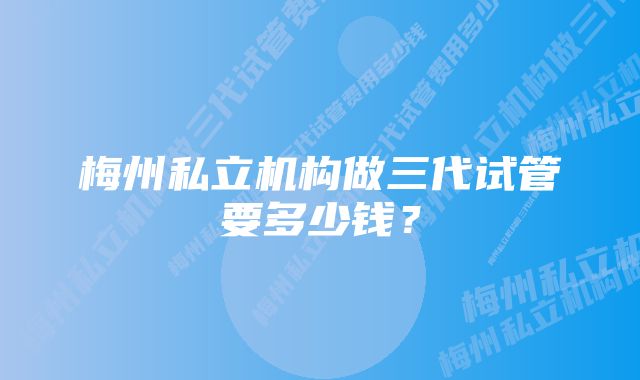 梅州私立机构做三代试管要多少钱？