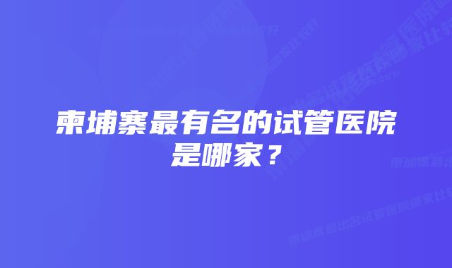 柬埔寨最有名的试管医院是哪家？