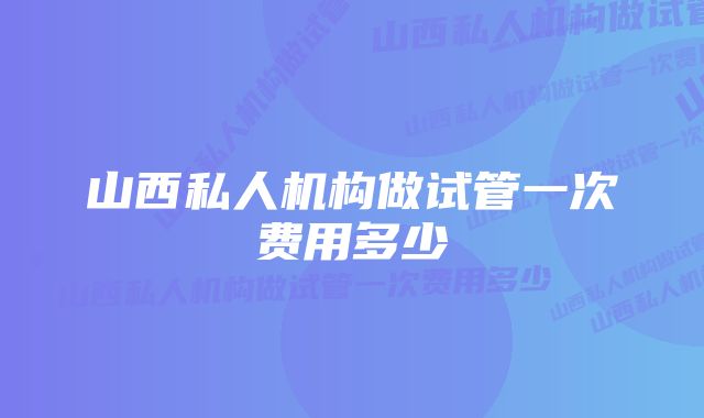 山西私人机构做试管一次费用多少