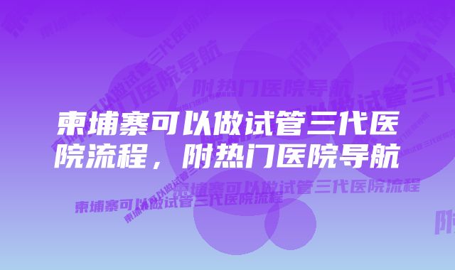 柬埔寨可以做试管三代医院流程，附热门医院导航