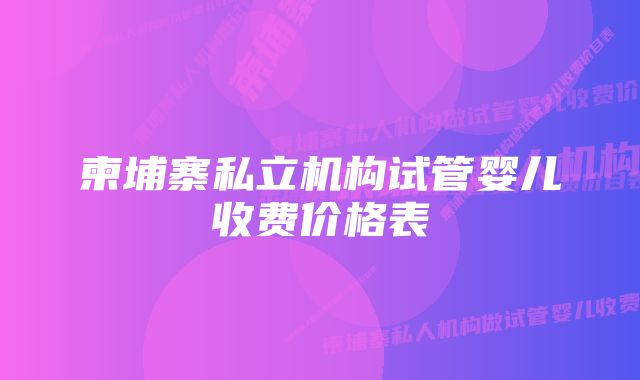 柬埔寨私立机构试管婴儿收费价格表