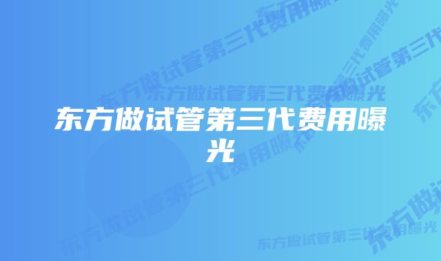 东方做试管第三代费用曝光