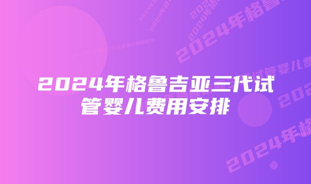 2024年格鲁吉亚三代试管婴儿费用安排