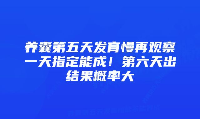 养囊第五天发育慢再观察一天指定能成！第六天出结果概率大