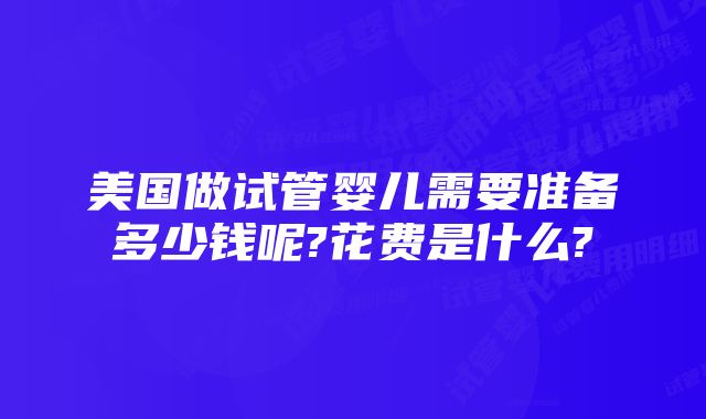 美国做试管婴儿需要准备多少钱呢?花费是什么?