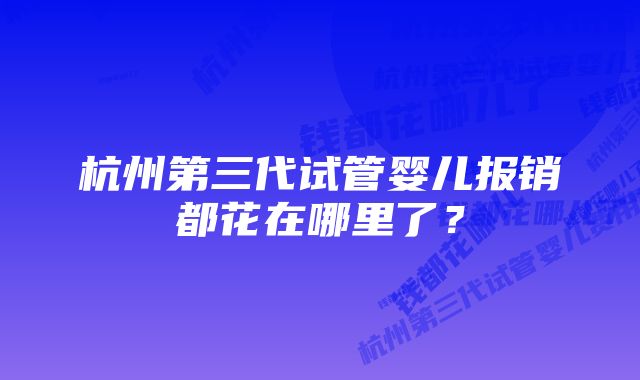 杭州第三代试管婴儿报销都花在哪里了？