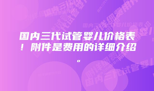 国内三代试管婴儿价格表！附件是费用的详细介绍。