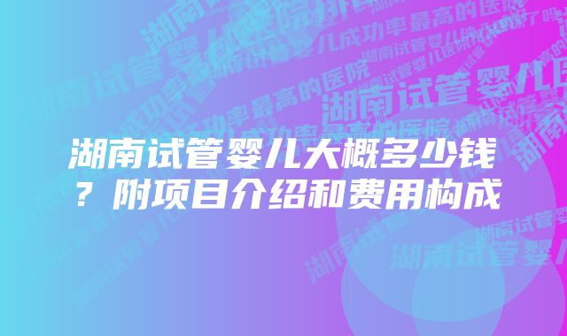 湖南试管婴儿大概多少钱？附项目介绍和费用构成