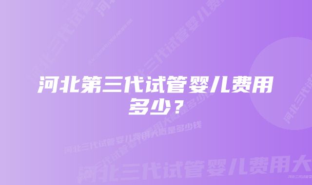 河北第三代试管婴儿费用多少？