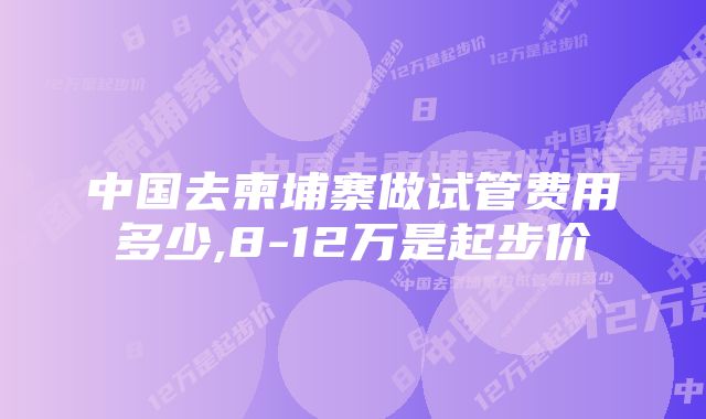 中国去柬埔寨做试管费用多少,8-12万是起步价