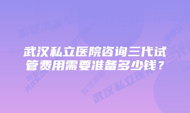 武汉私立医院咨询三代试管费用需要准备多少钱？