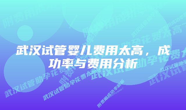 武汉试管婴儿费用太高，成功率与费用分析