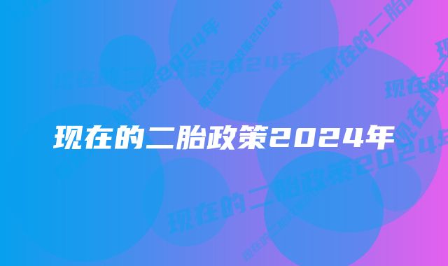 现在的二胎政策2024年