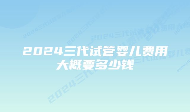 2024三代试管婴儿费用大概要多少钱