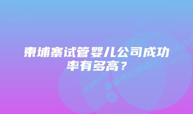 柬埔寨试管婴儿公司成功率有多高？