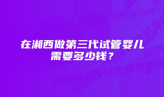 在湘西做第三代试管婴儿需要多少钱？