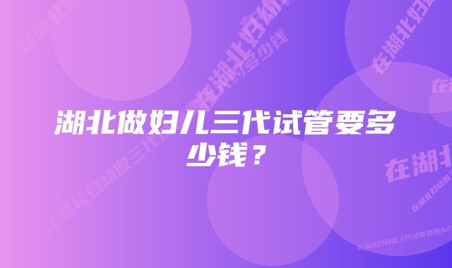 湖北做妇儿三代试管要多少钱？