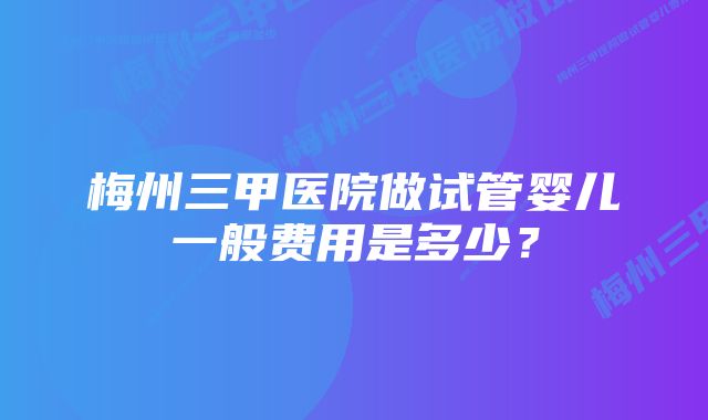 梅州三甲医院做试管婴儿一般费用是多少？