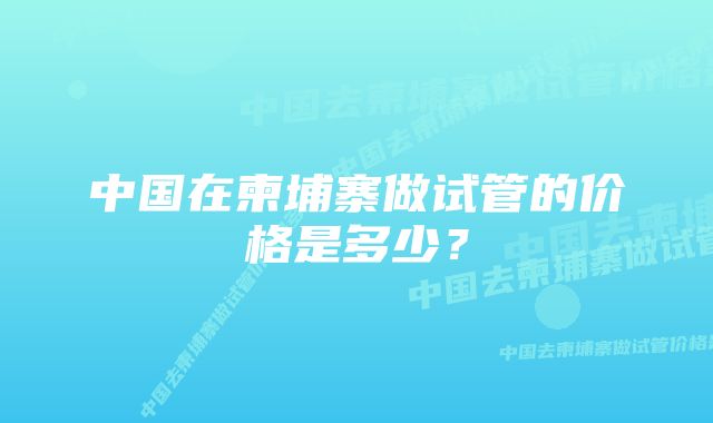 中国在柬埔寨做试管的价格是多少？