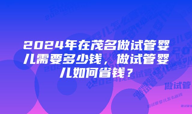 2024年在茂名做试管婴儿需要多少钱，做试管婴儿如何省钱？