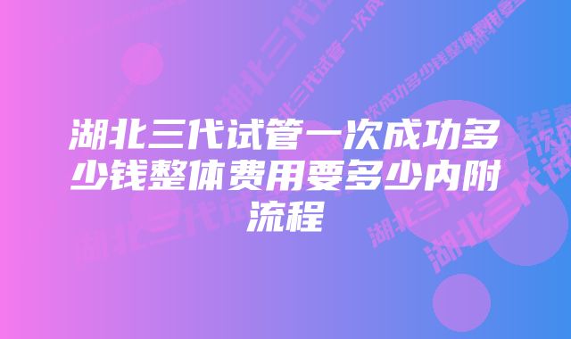 湖北三代试管一次成功多少钱整体费用要多少内附流程