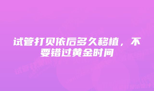 试管打贝依后多久移植，不要错过黄金时间