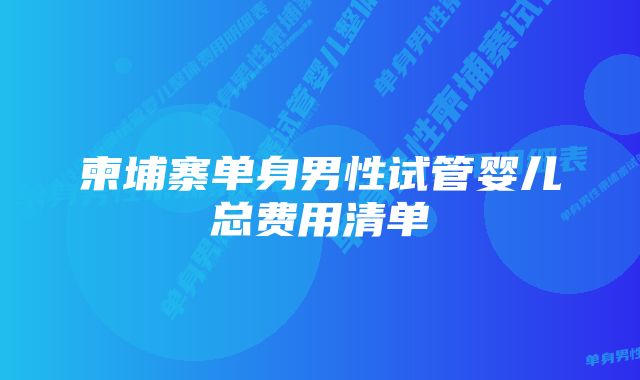 柬埔寨单身男性试管婴儿总费用清单