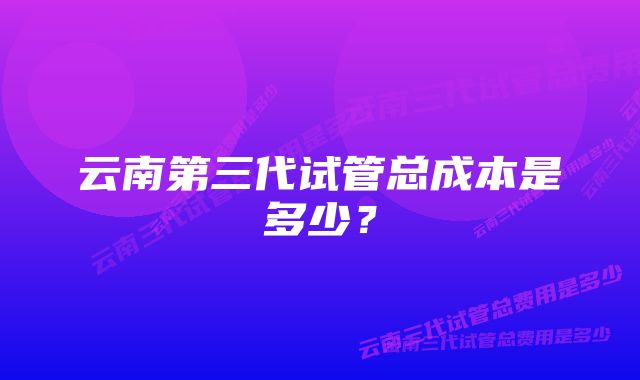 云南第三代试管总成本是多少？